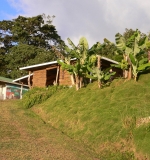 Finca mit Bananen bei Matagalpa - Foto Lothar Jessen