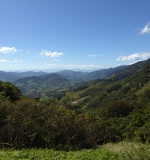 P1040796 - Disparate del Poter - Rosie