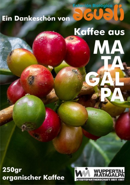 Kaffee aus Matagalpa – frisch geröstet in Wuppertal